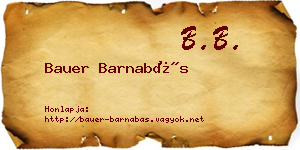 Bauer Barnabás névjegykártya